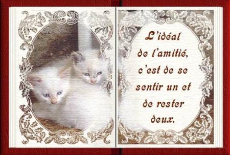 ya pa mieu ke l'amiti� 